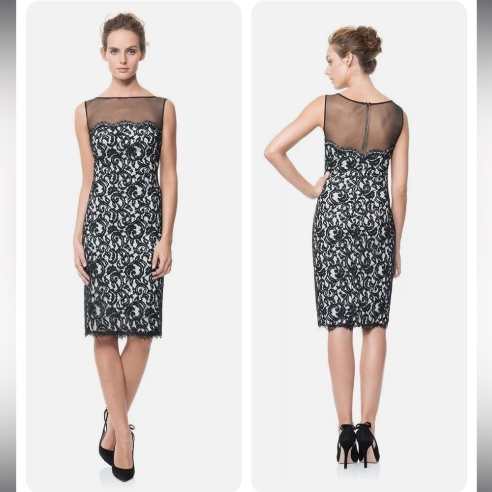 Tadashi Shoji Navy Blue and White Lace Illusion Sleeveless Cocktail Dress Size 6 - Picture 7 of 14